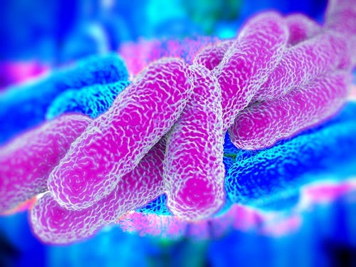 Legionella: beheersbaar risico blijft aandachtspunt