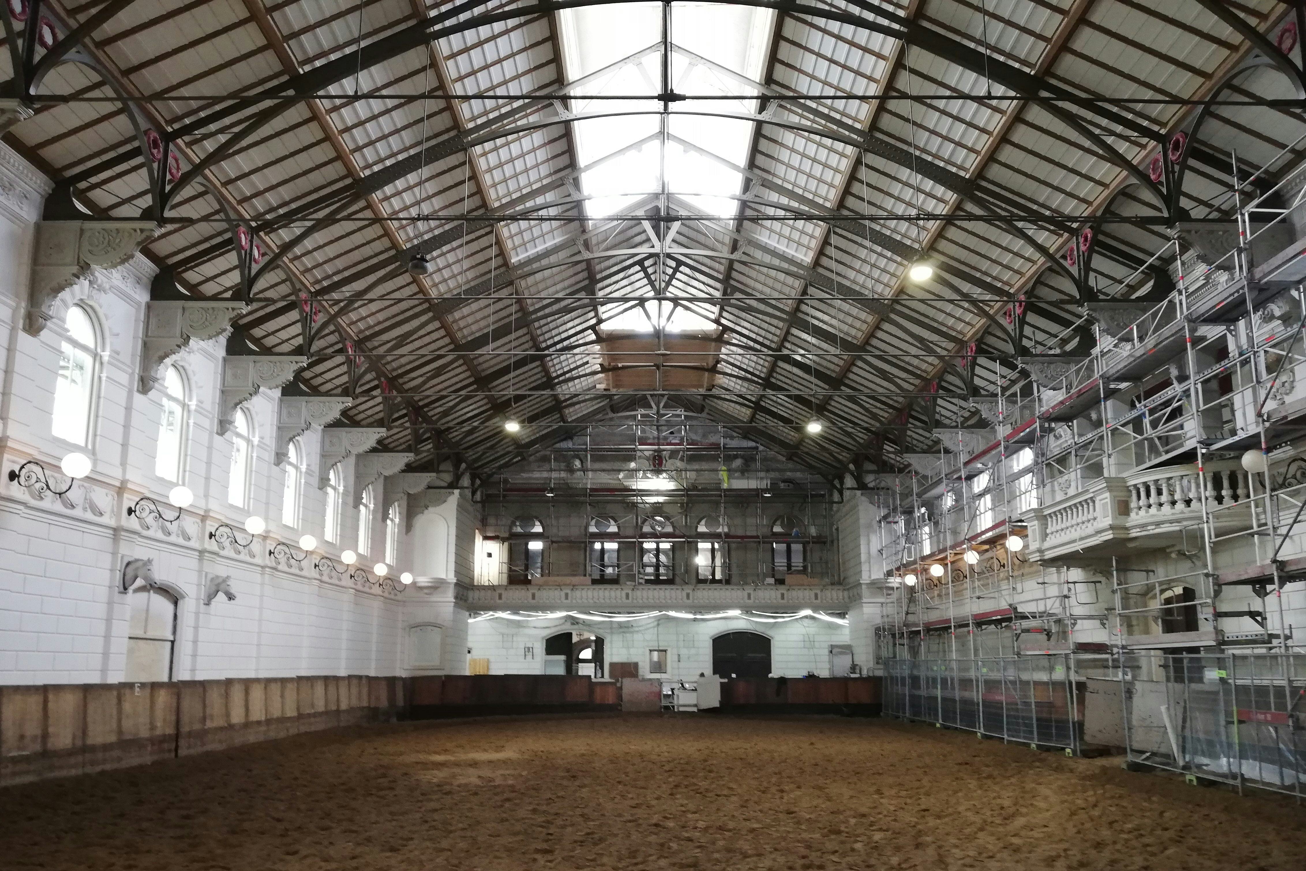 Nieuwsgierige paarden volgen renovatie Hollandsche Manege