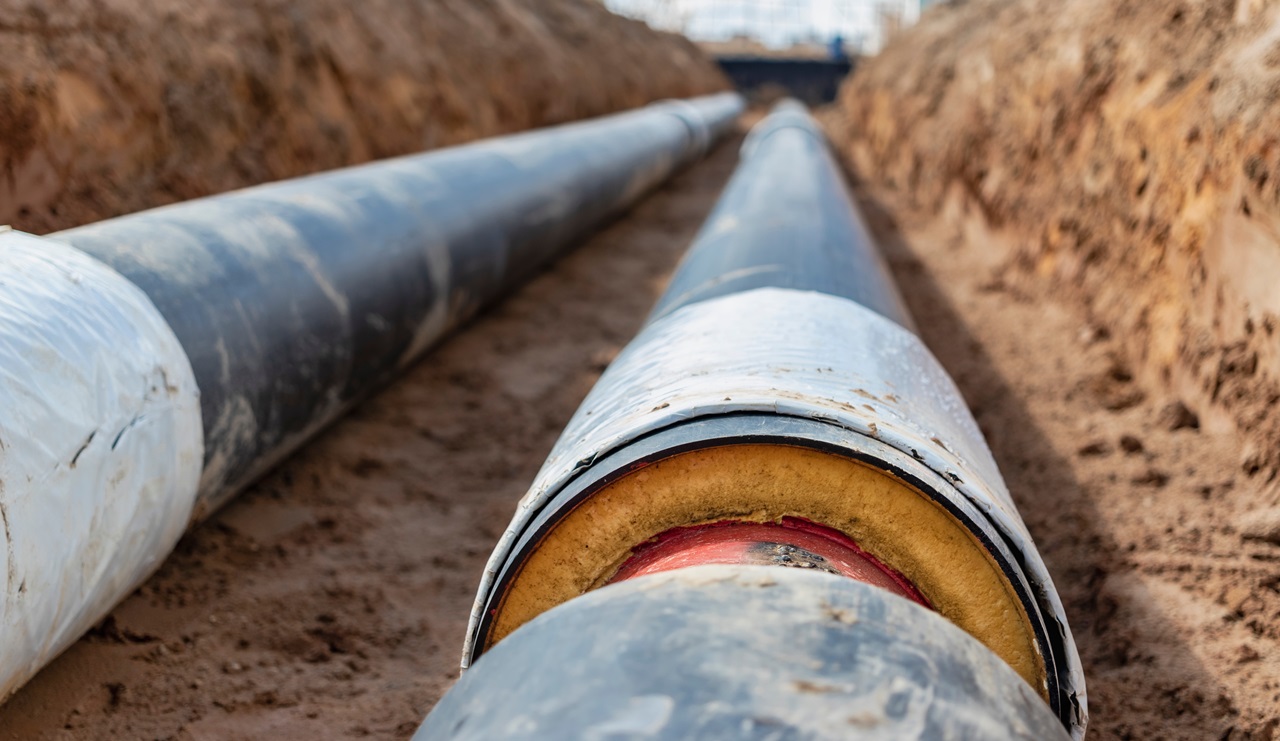 Beeld: Another77/Shutterstock.