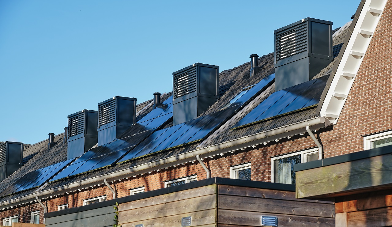 Beeld: VeugerStock/Shutterstock