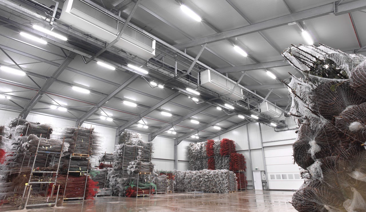 Fruitbomen in de koelcel van Boomkwekerij Fleuren.