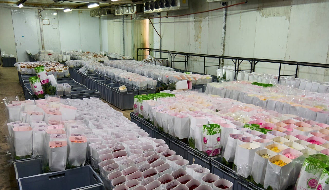 Onderzoekers zijn nog steeds druk in de weer om de
houdbaarheid en kwaliteit van producten na de oogst
te verbeteren.