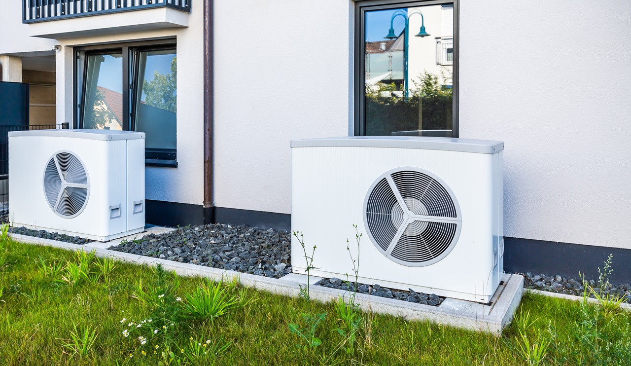 Beeld: Ingrid Balabanova/ Shutterstock.com