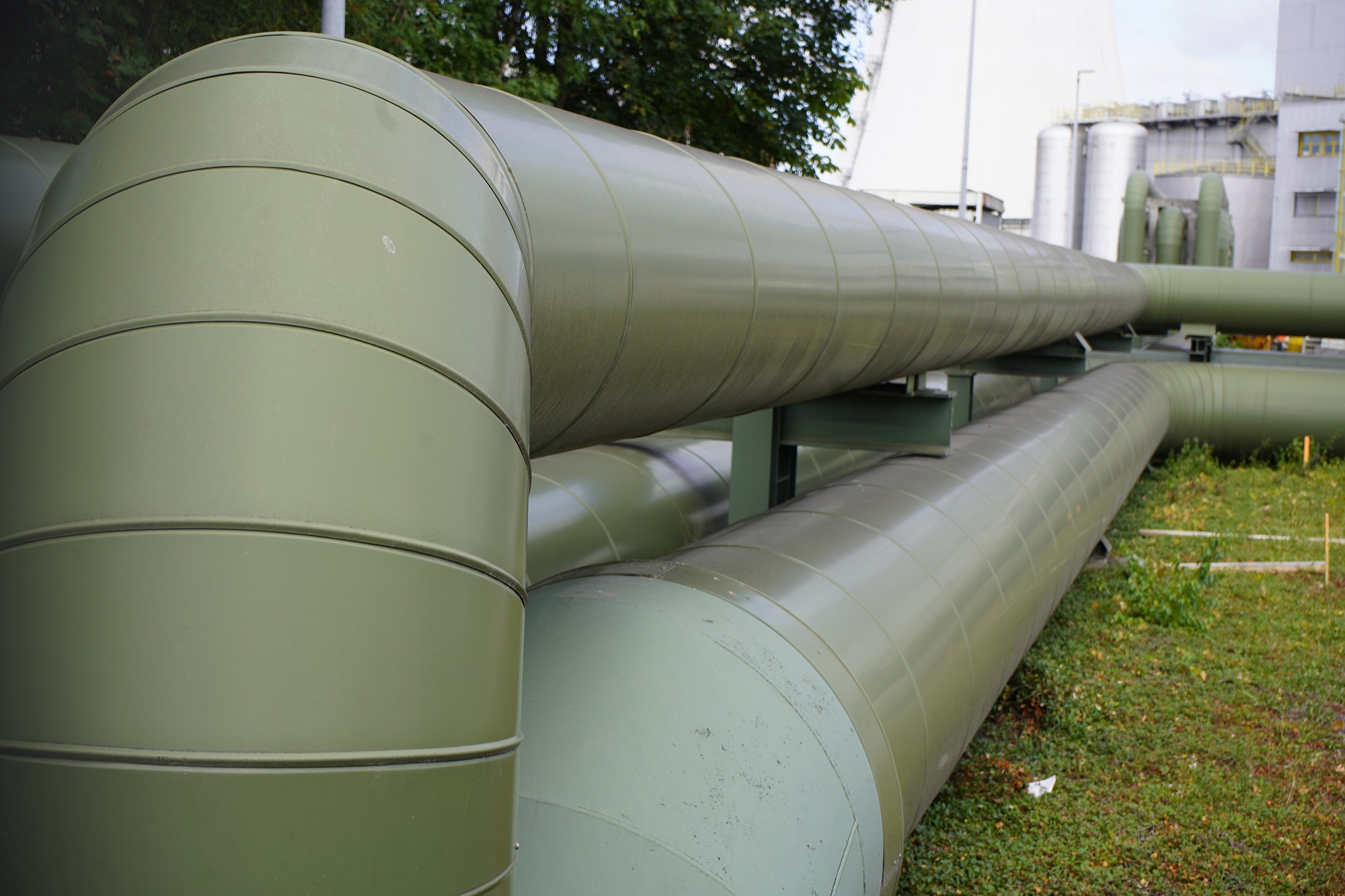 Beeld: guentermanaus / Shutterstock.com