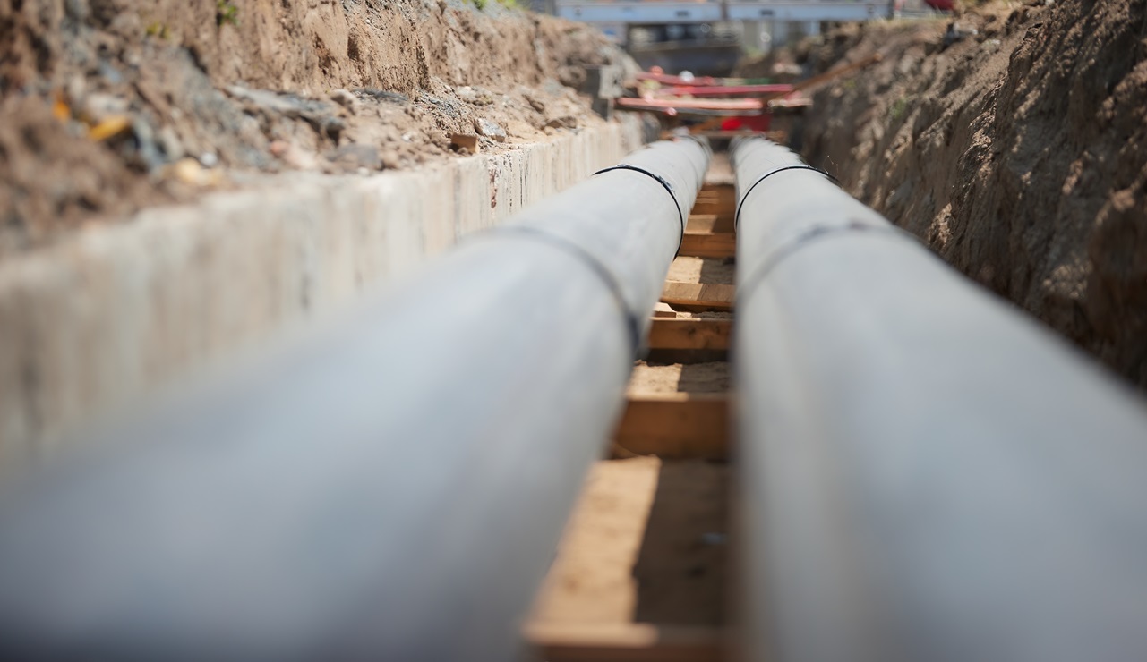 Beeld: Martin Mecnarowski / Shutterstock.com