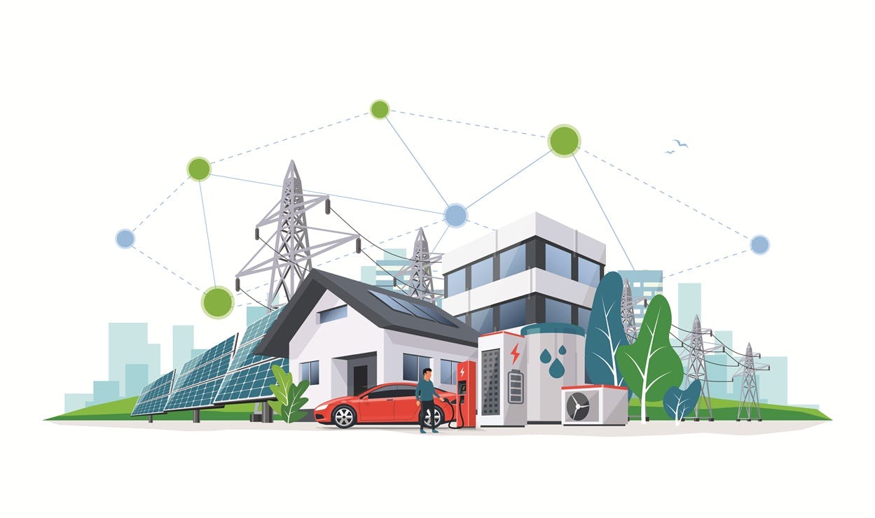 Beeld: petovarga/Shutterstock.com