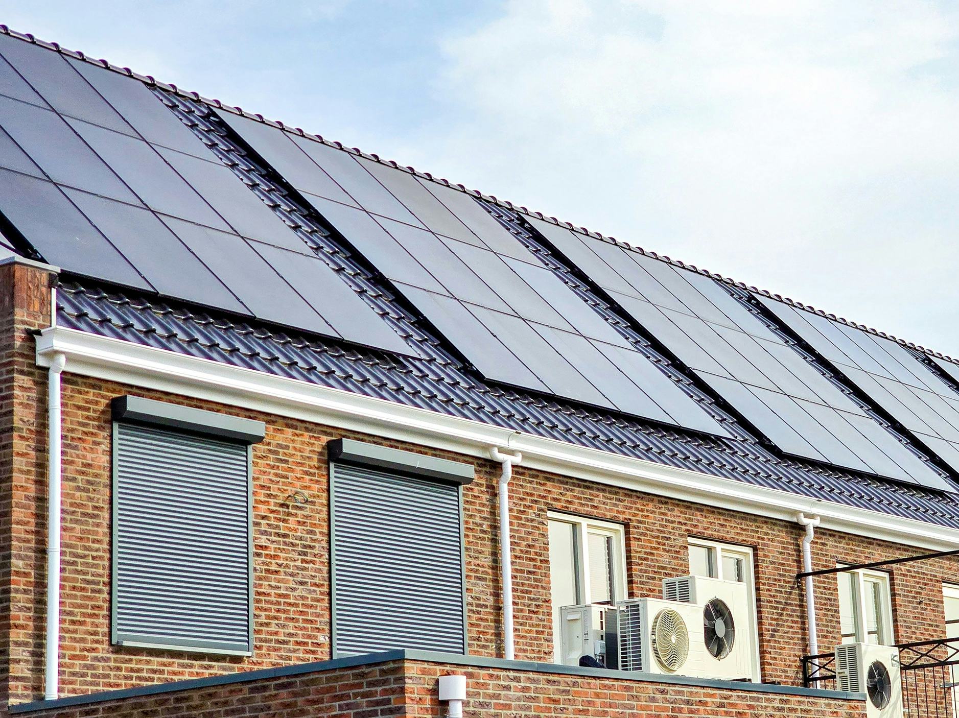 Foto: fokke baarssen/Shutterstock.com