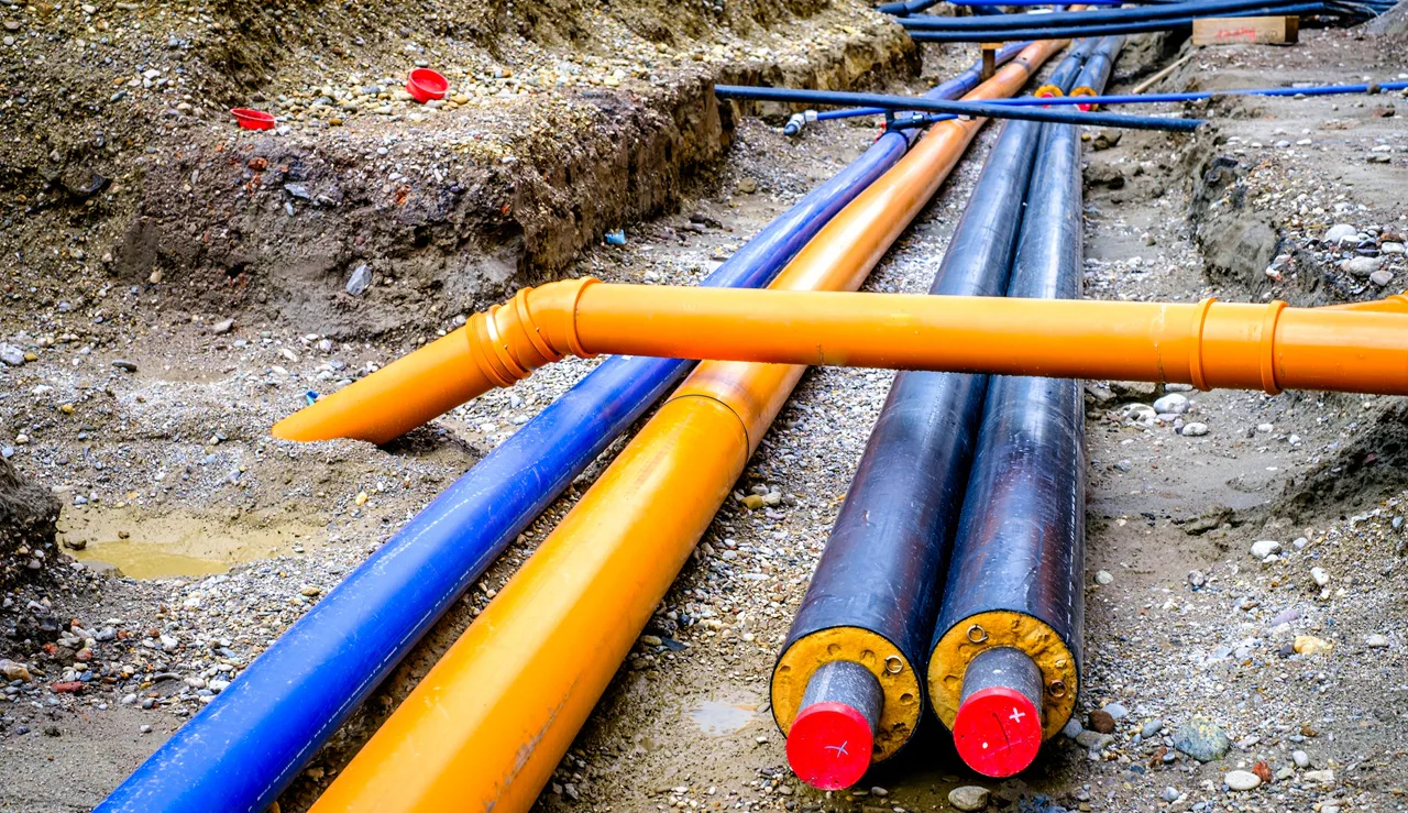 Foto: FooTToo/Shutterstock.com
